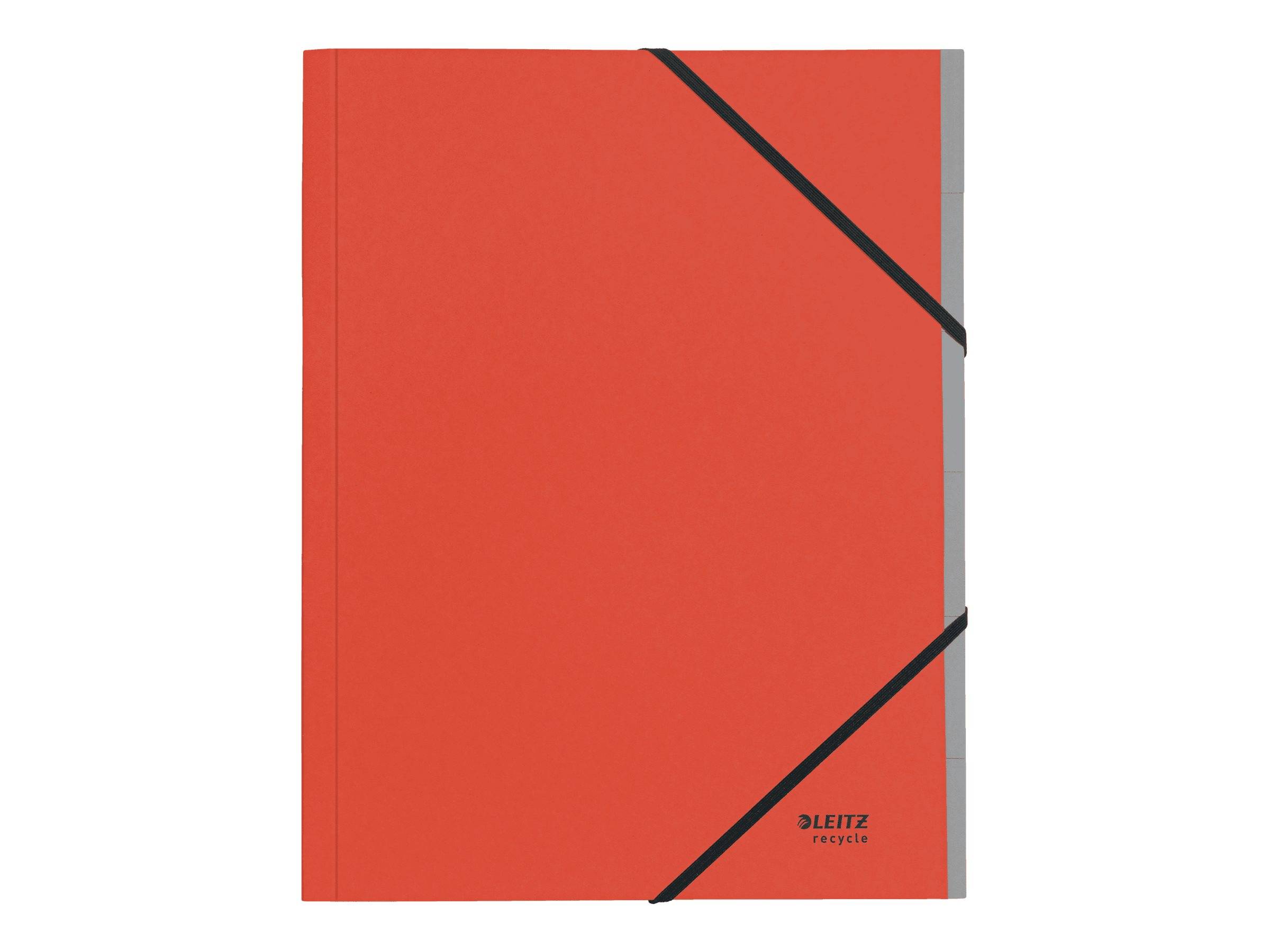 Esselte Leitz Recycle - Kartei - 6 Fächer - für A4 (210 x 297 mm)