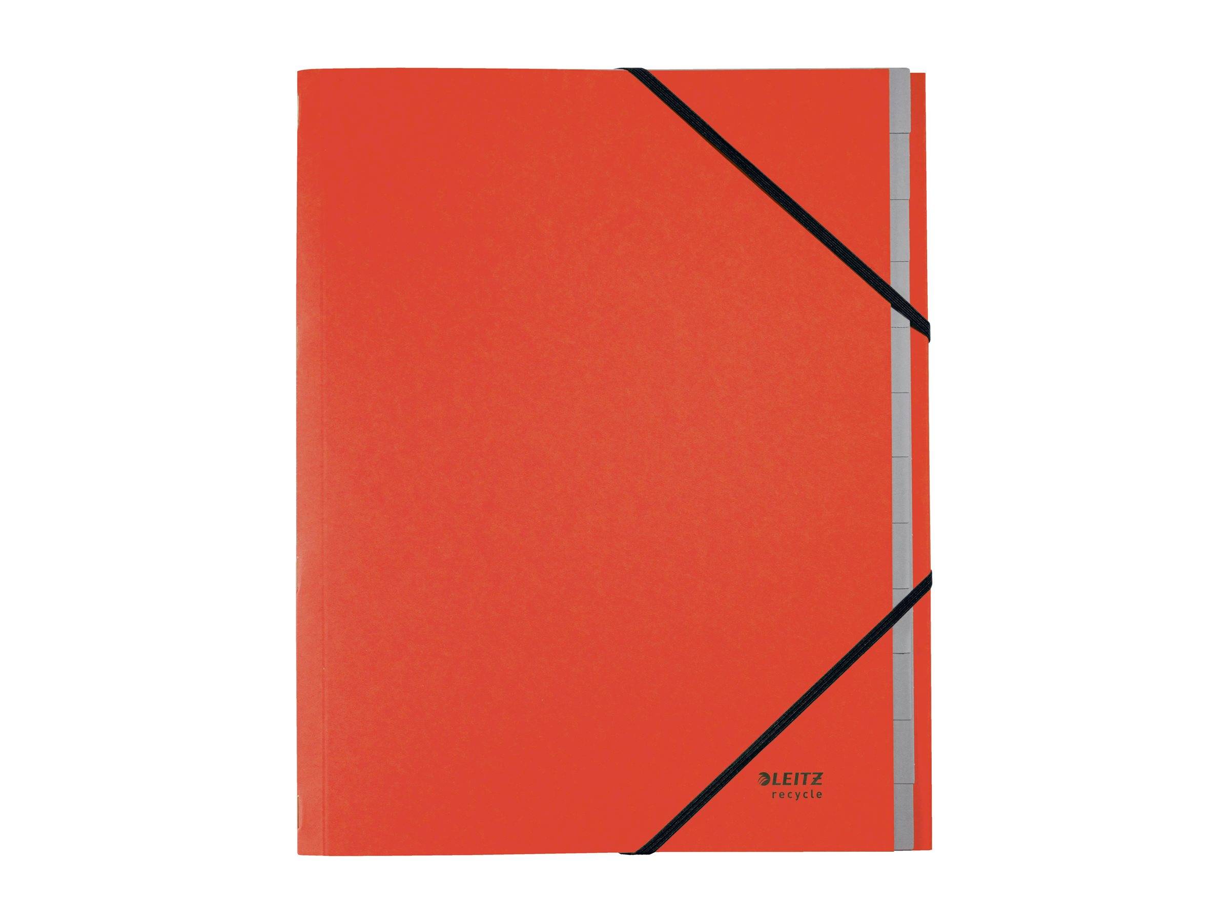 ESSELTE LEITZ - Leitz Recycle - Gliederungsordner - 12 Teile - für A4 (210 x 297 mm)