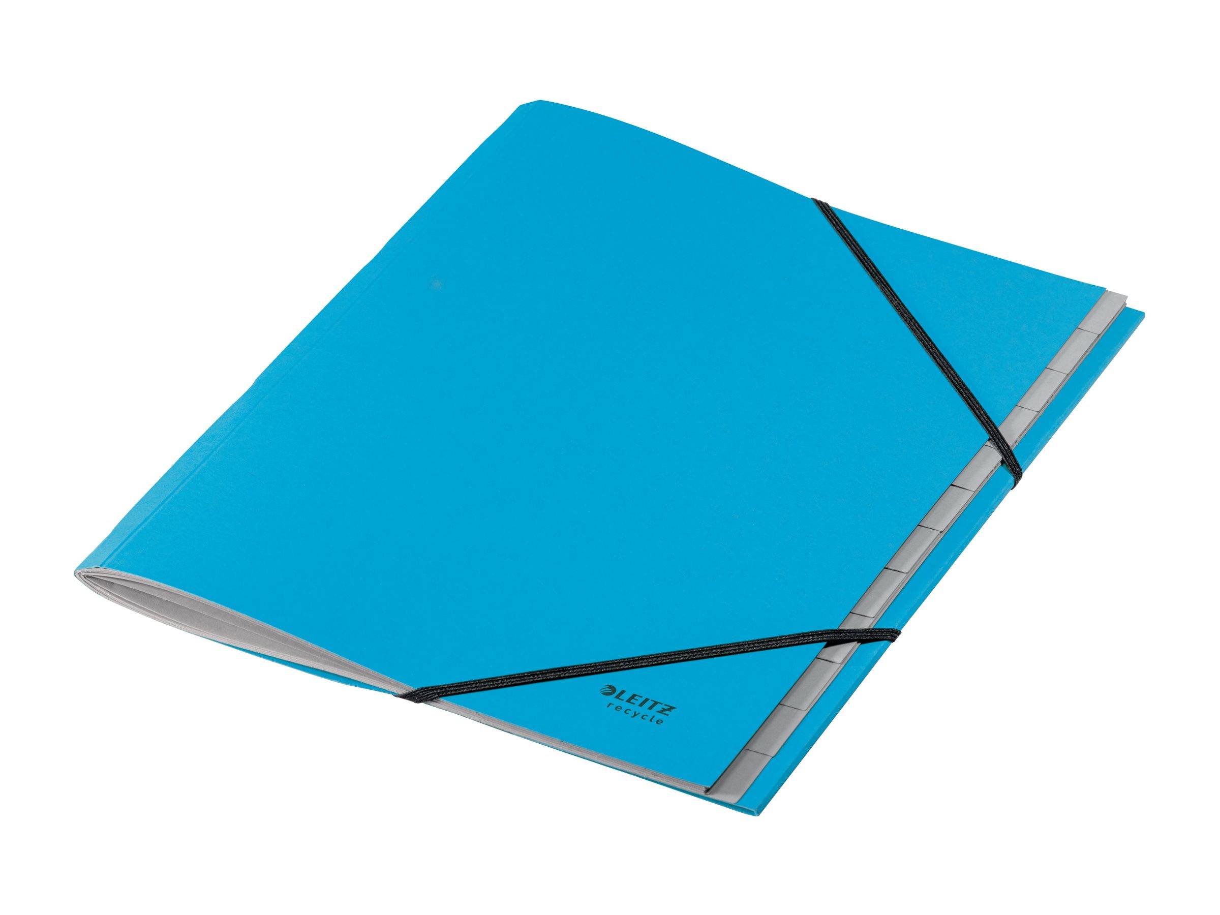 ESSELTE LEITZ - Leitz Recycle - Gliederungsordner - 12 Teile - für A4 (210 x 297 mm)