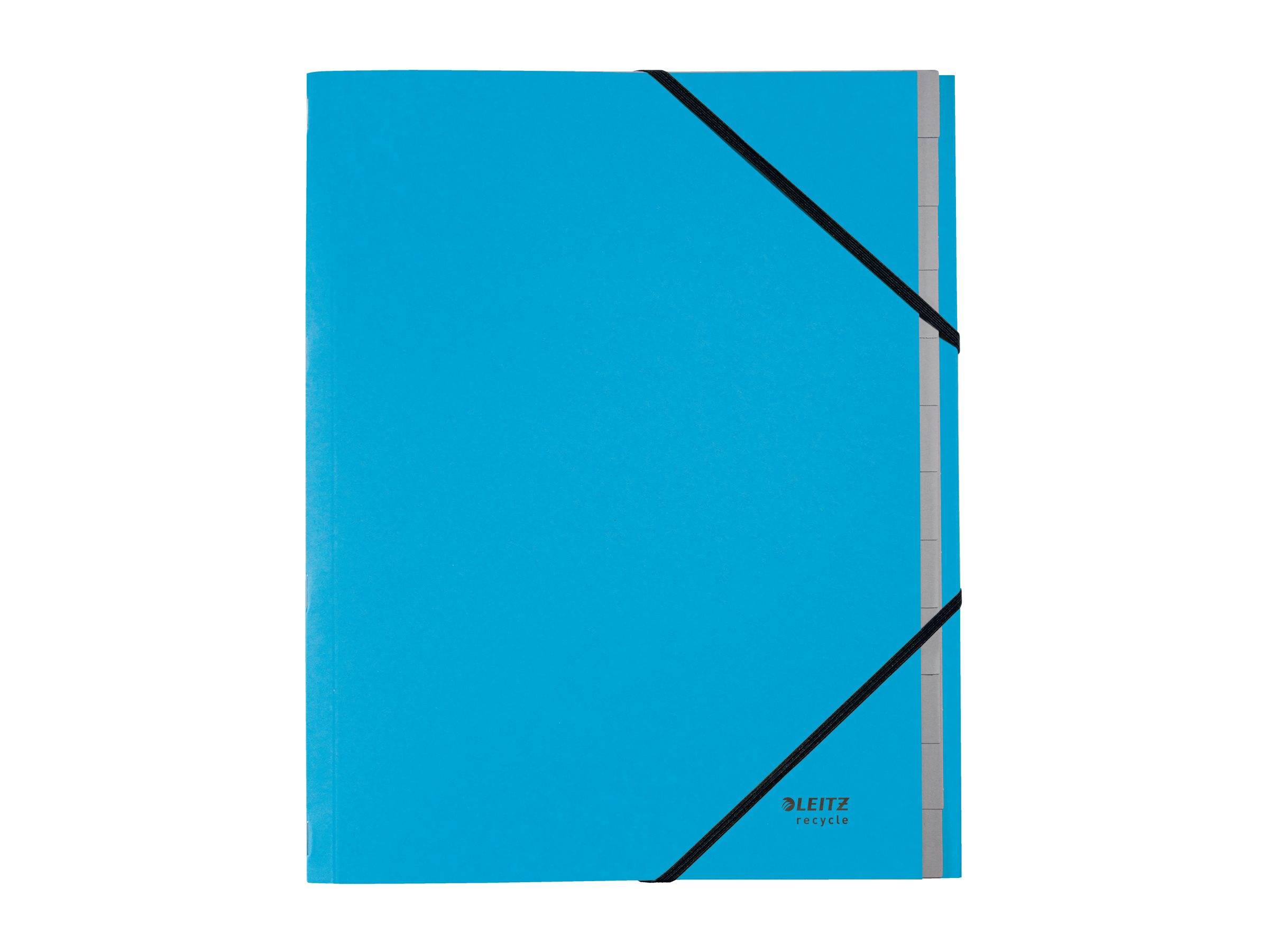 ESSELTE LEITZ - Leitz Recycle - Gliederungsordner - 12 Teile - für A4 (210 x 297 mm)
