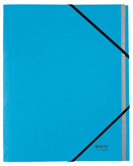 Esselte Leitz Recycle - Gliederungsordner - 12 Teile - für A4 (210 x 297 mm)