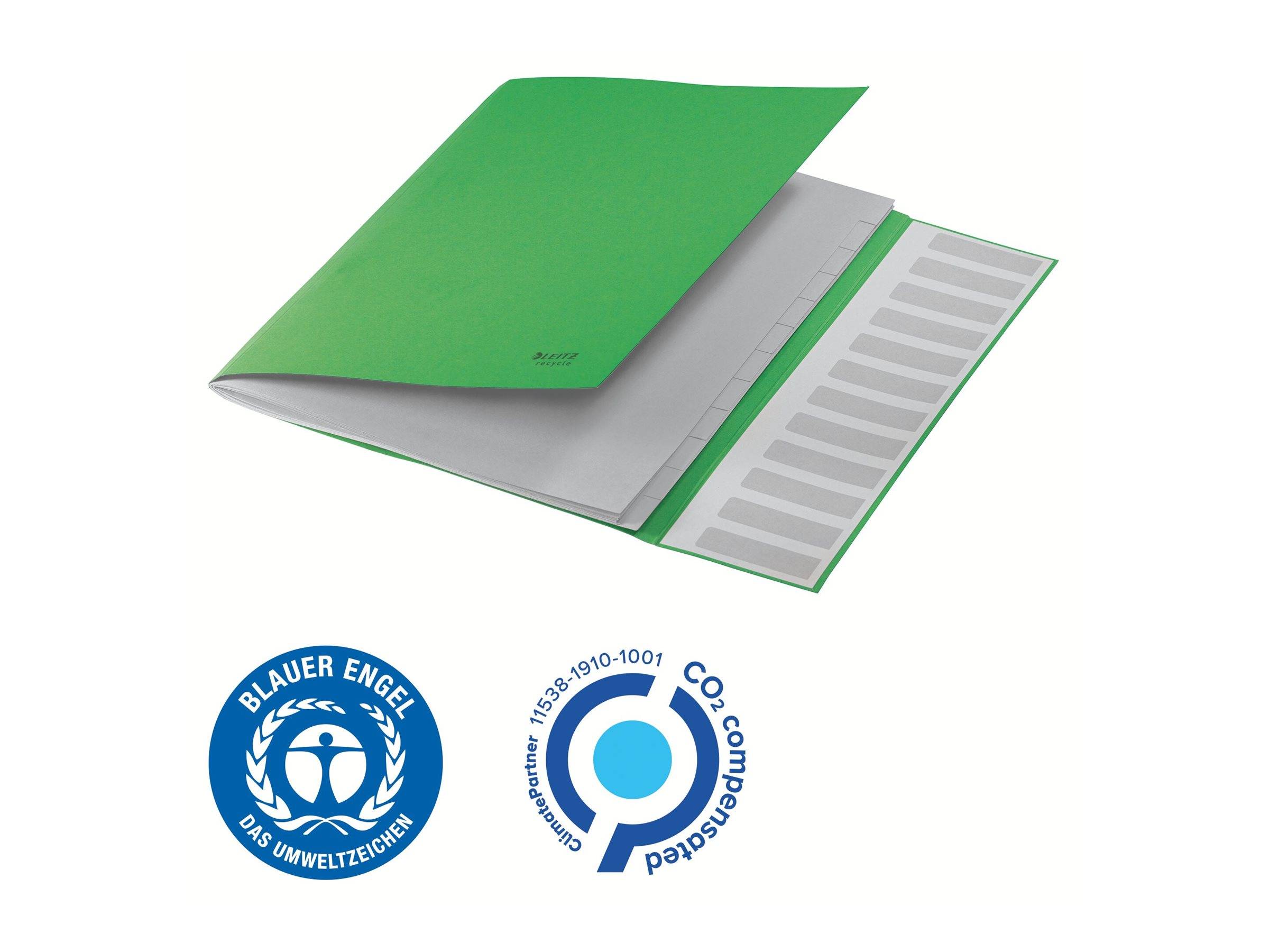 ESSELTE LEITZ - Leitz Recycle - Gliederungsordner - 12 Teile - für A4 (210 x 297 mm)
