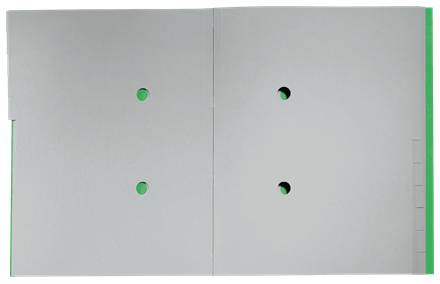 Esselte Leitz Recycle - Gliederungsordner - 12 Teile - für A4 (210 x 297 mm)