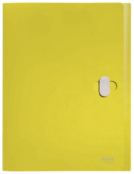 Esselte Leitz Recycle - Aktenbox - Rückenbreite: 38 mm - für A4 (210 x 297 mm)