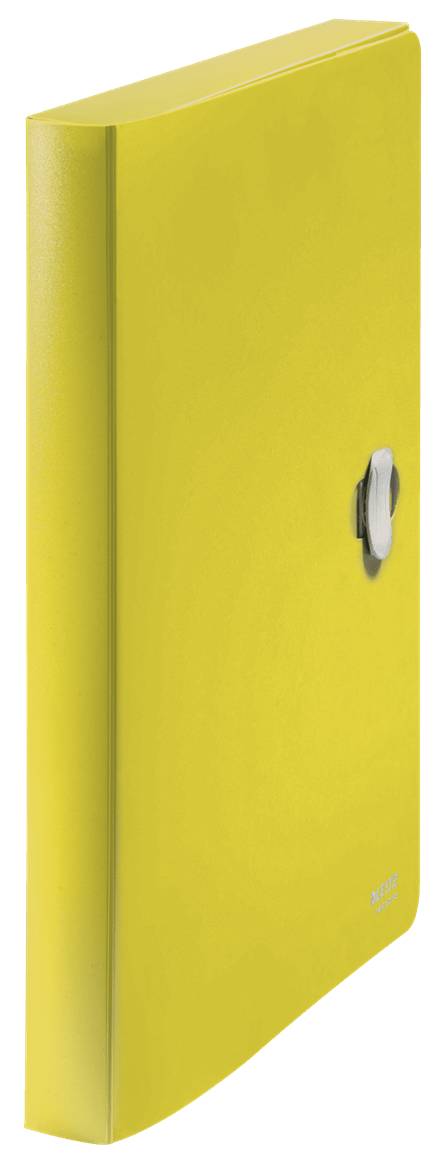 Esselte Leitz Recycle - Aktenbox - Rückenbreite: 38 mm - für A4 (210 x 297 mm)
