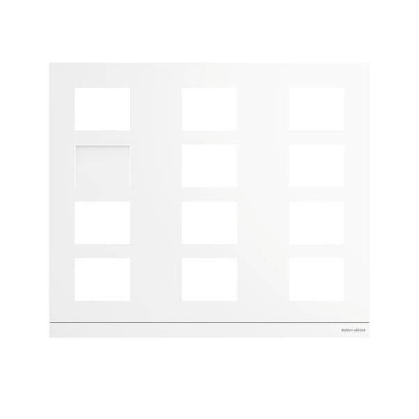 Busch-Jaeger Fronplatte 413812CF-W-03