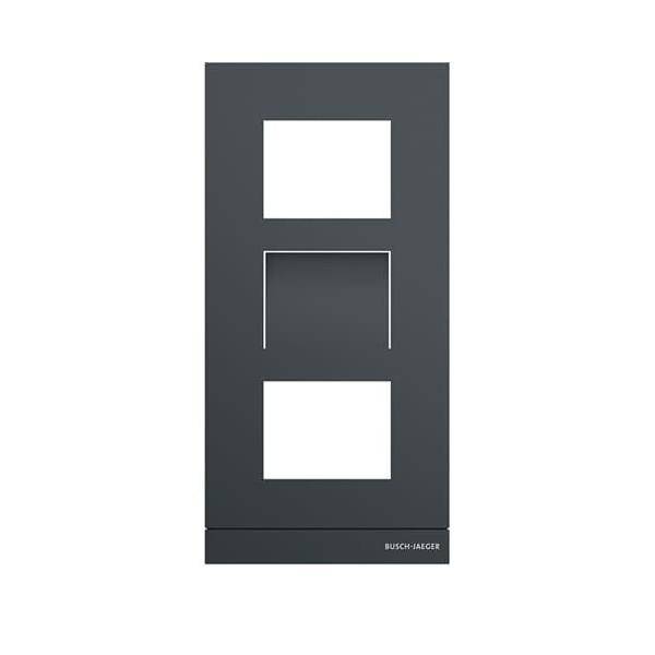 Busch-Jaeger Fronplatte 41383CF-B-03