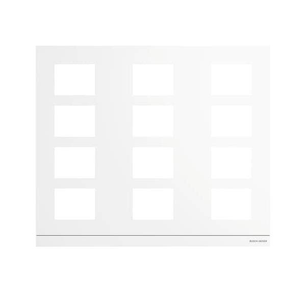 Busch-Jaeger Frontplatte 413912CF-W-03