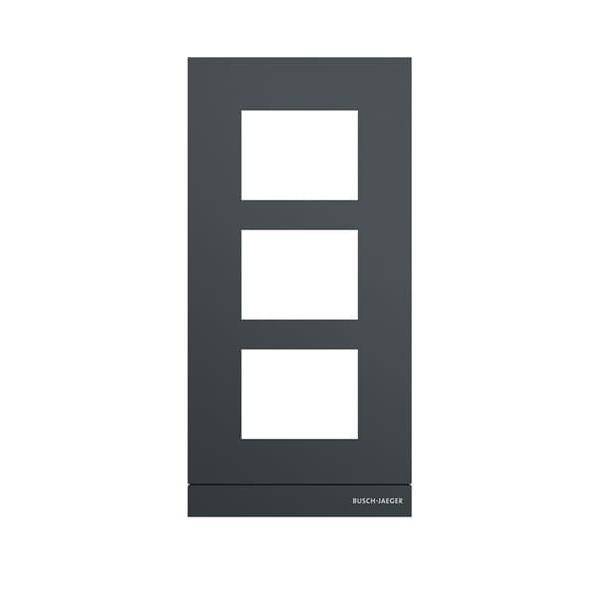 Busch-Jaeger Frontplatte 41393CF-B-03