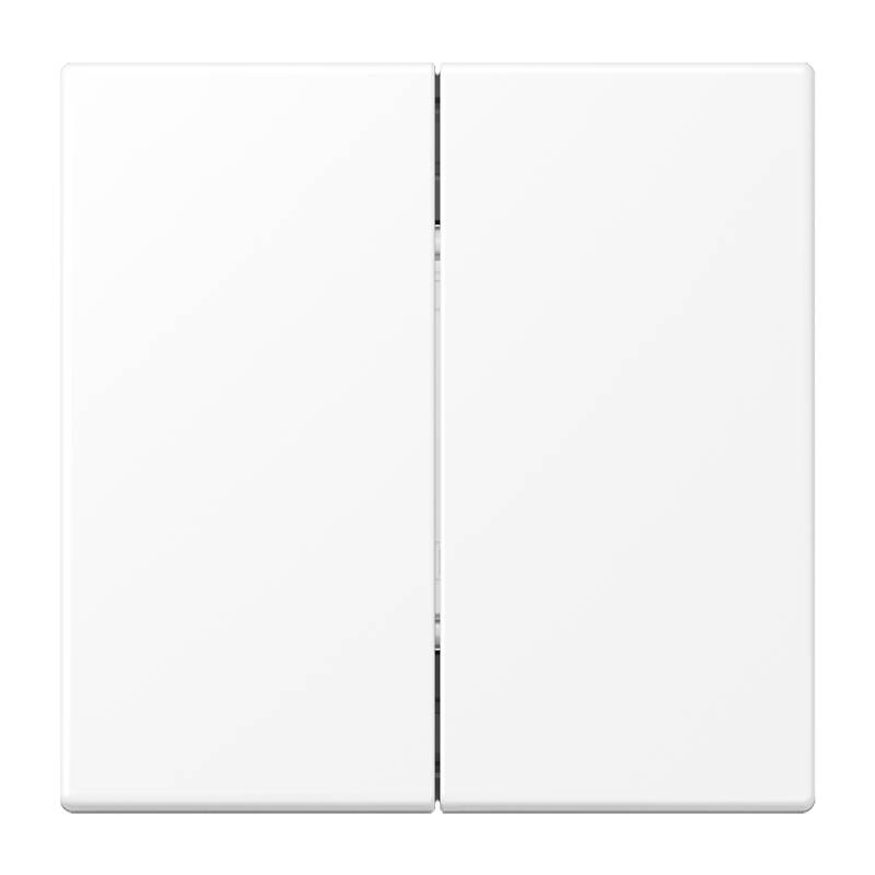 Jung Funk-Wandsender BLE ES 2995-L