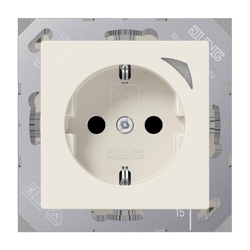 Jung SCHUKO Steckdose BT A 1521 S