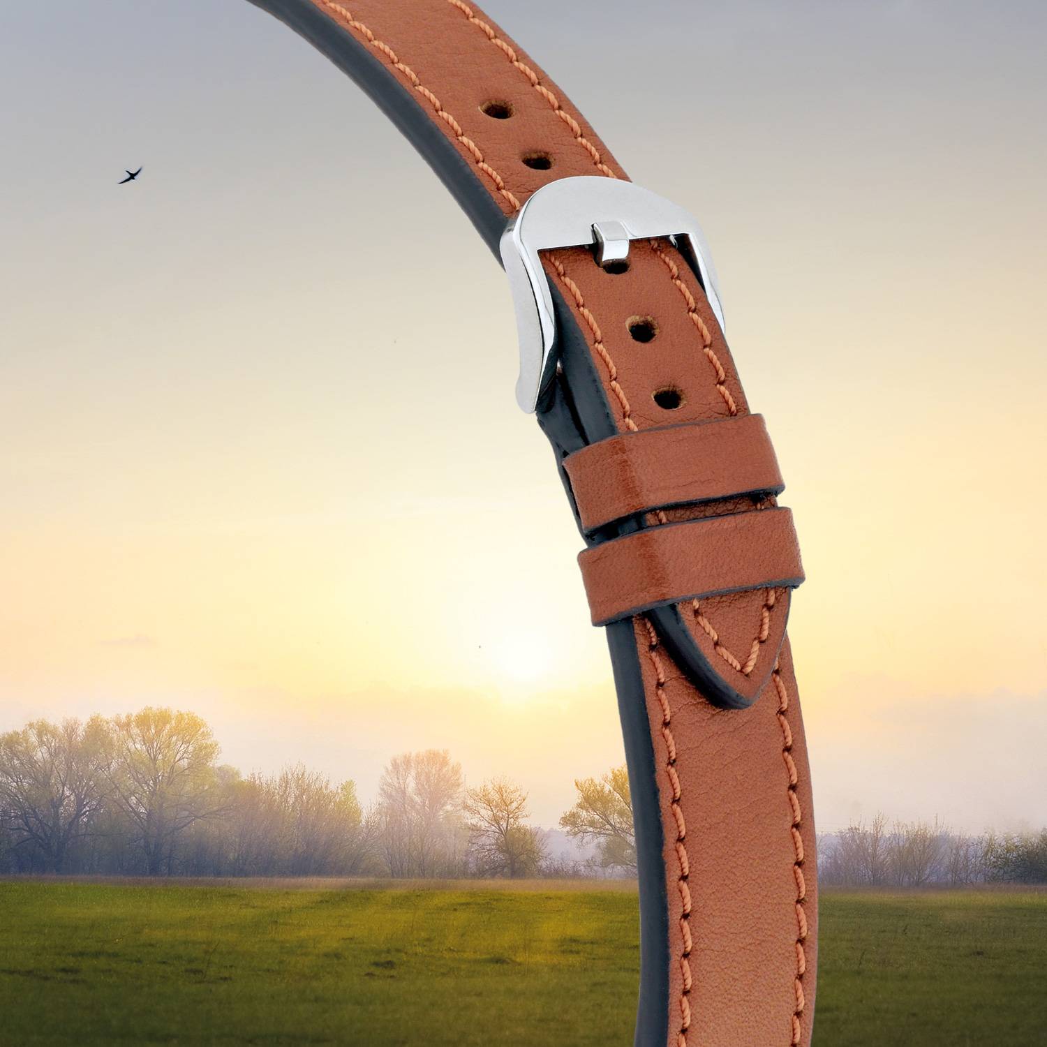 Happel Lederband Santa Fe 20 mm schwarz