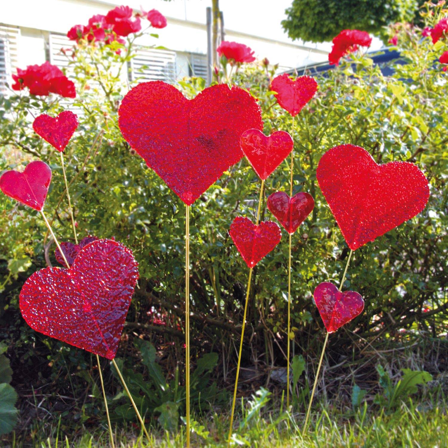 SELVA Colouraplast Scheiben Set