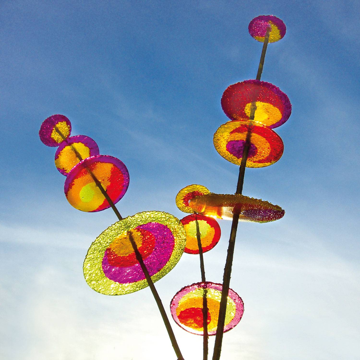 SELVA Colouraplast Scheiben Set