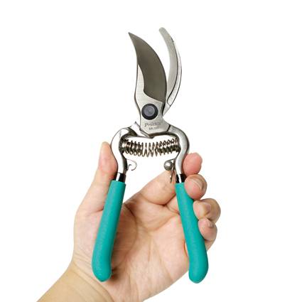 PRO'S KIT Gartenschere