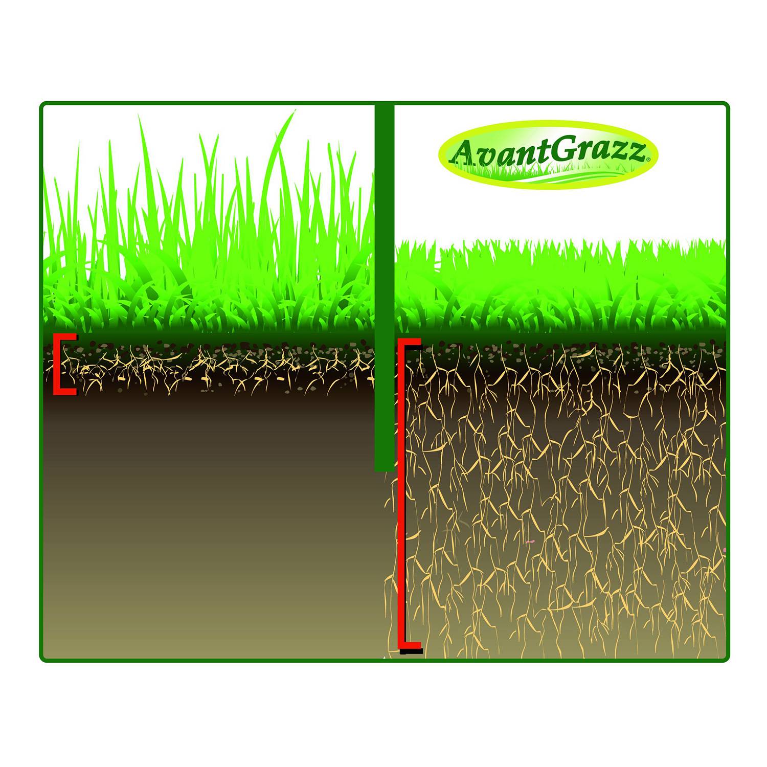19,99 € / 1 kg Avantgrazz Rasensamen, 1kg
