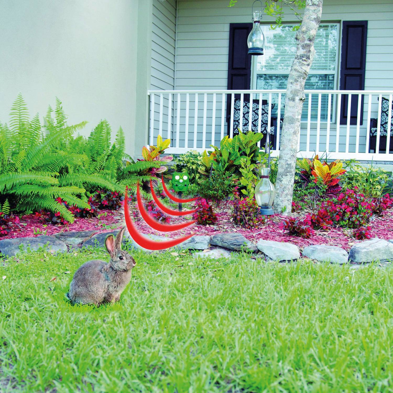 Starlyf Garteneule Owl Guard - Bewegungsgesteuerter Tiervertreiber