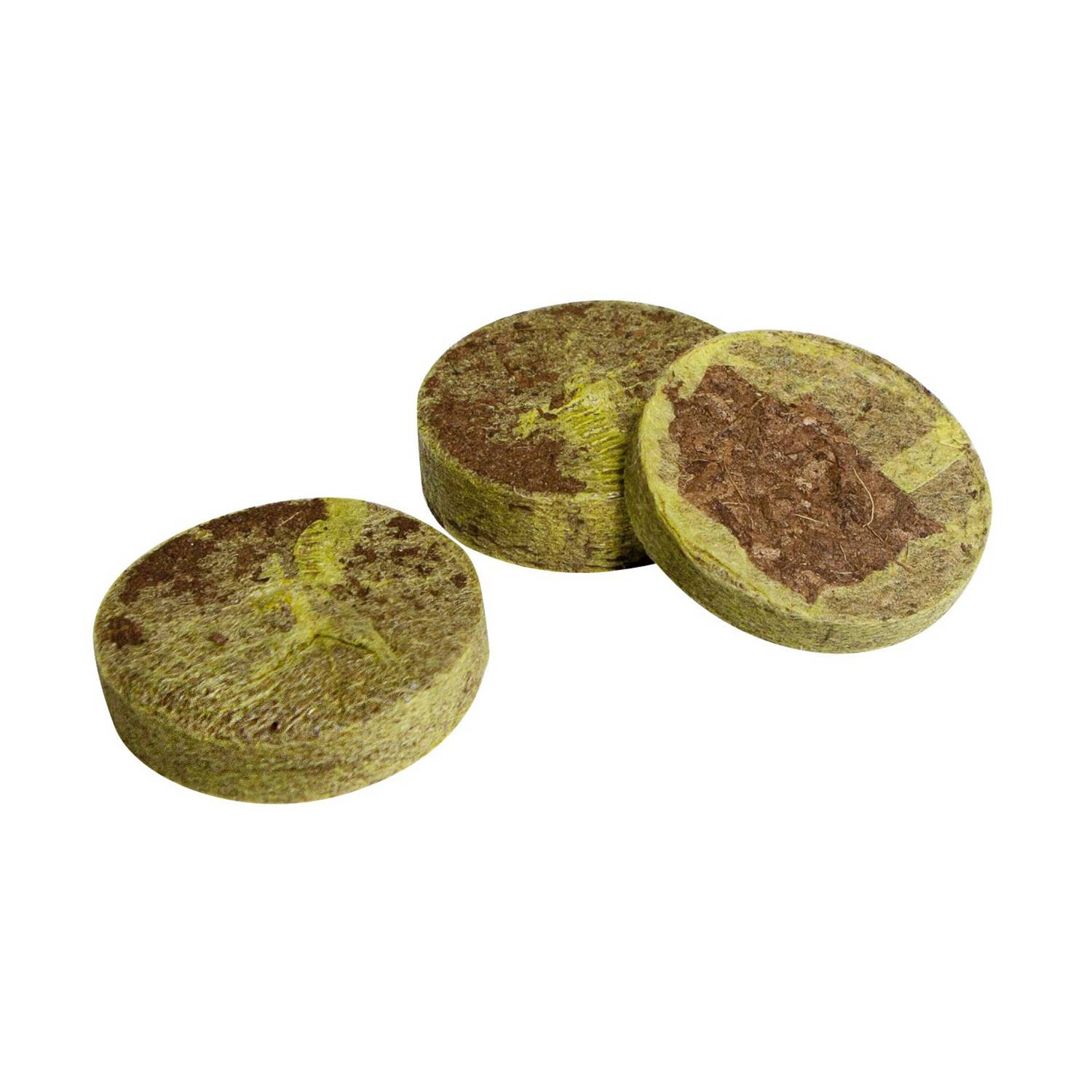 WINDHAGER Anzuchtquelltabs, 100 Stk.