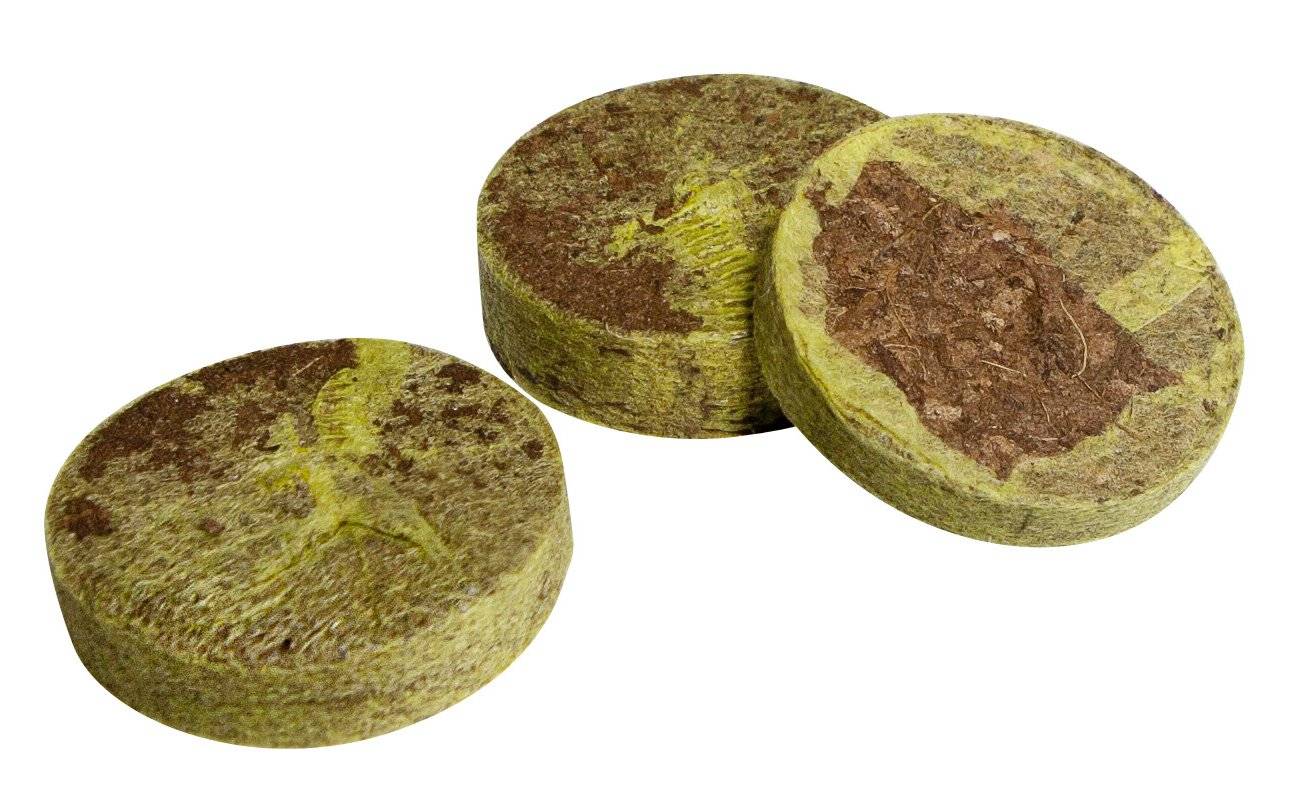 WINDHAGER Anzuchtquelltabs, 100 Stk.