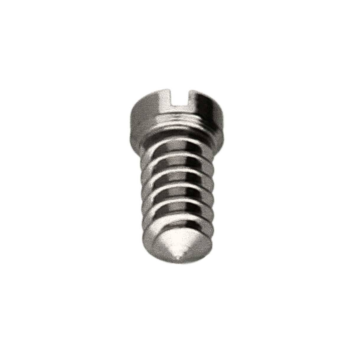 RX RX 1530 Schraube für Zifferblatt