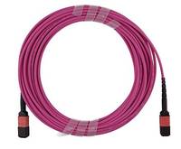 BLUEOPTICS - EMC CBL-MPO12-OM4-5M kompatibles MPO-MPO Multimode OM4 Patchkabel 5 Meter