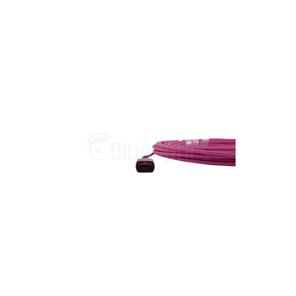 BlueOptics MPO LWL Kabel, 2 x MPO female, 12 Fasern, 50/125 µm, OM4, Belegung B, erikaviolett, 7,5 m
