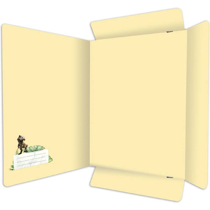 RNK Verlag Postmappe "Tyrannosaurus", DIN A4, Karton