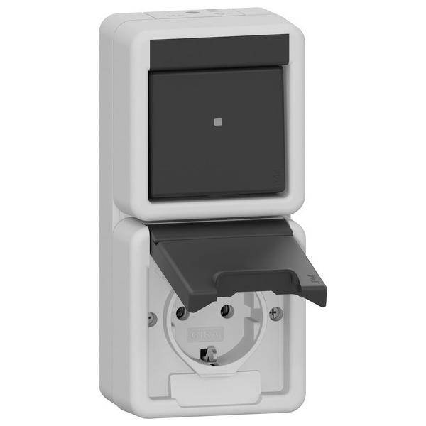 Gira Kombischalter senkr. 417630