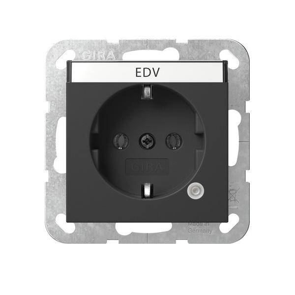 Gira Steckdose Kontroll+BSF 4452005