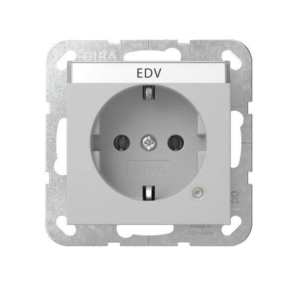 Gira Steckdose Kontroll+BSF 4452015