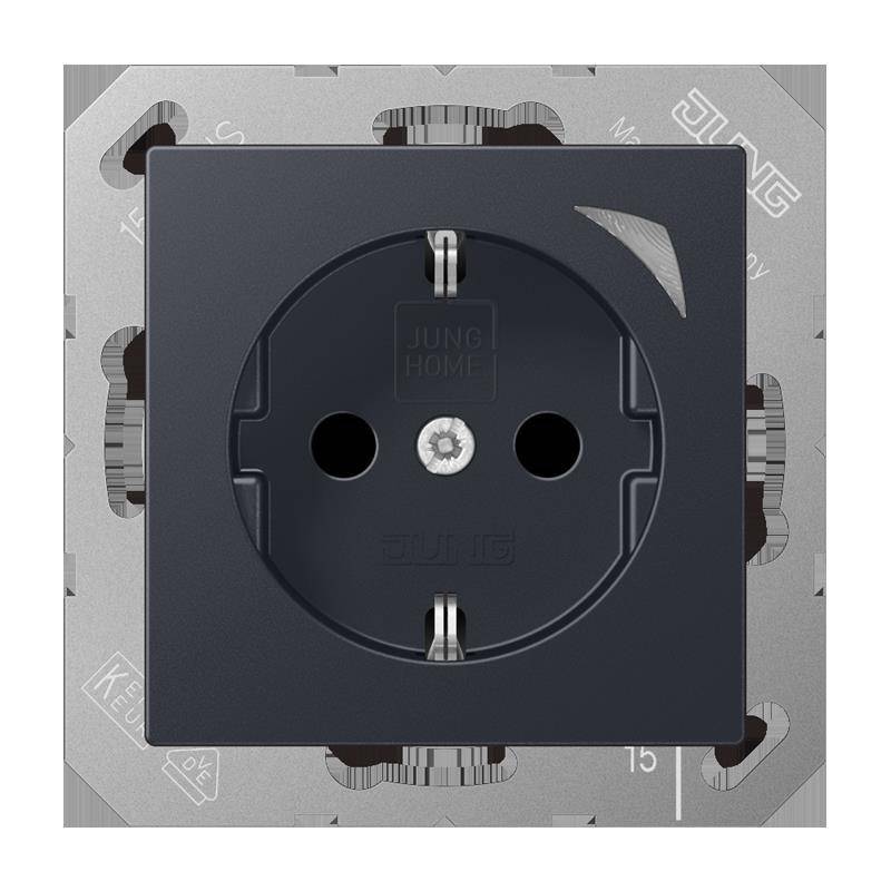 Jung SCHUKO Steckdose BT A 1521 S ANM