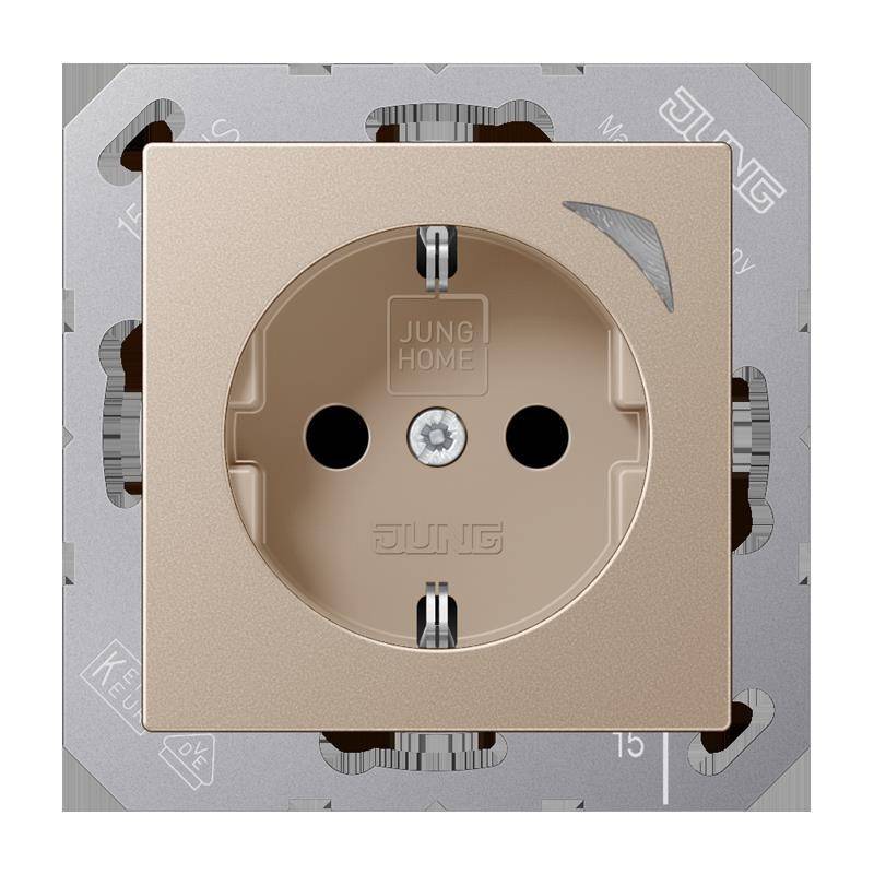 Jung SCHUKO Steckdose BT A 1521 S CH