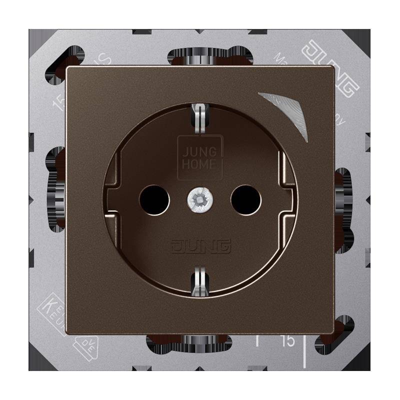 Jung SCHUKO Steckdose BT A 1521 S MO