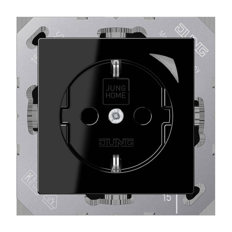Jung SCHUKO Steckdose BT A 1521 S SW
