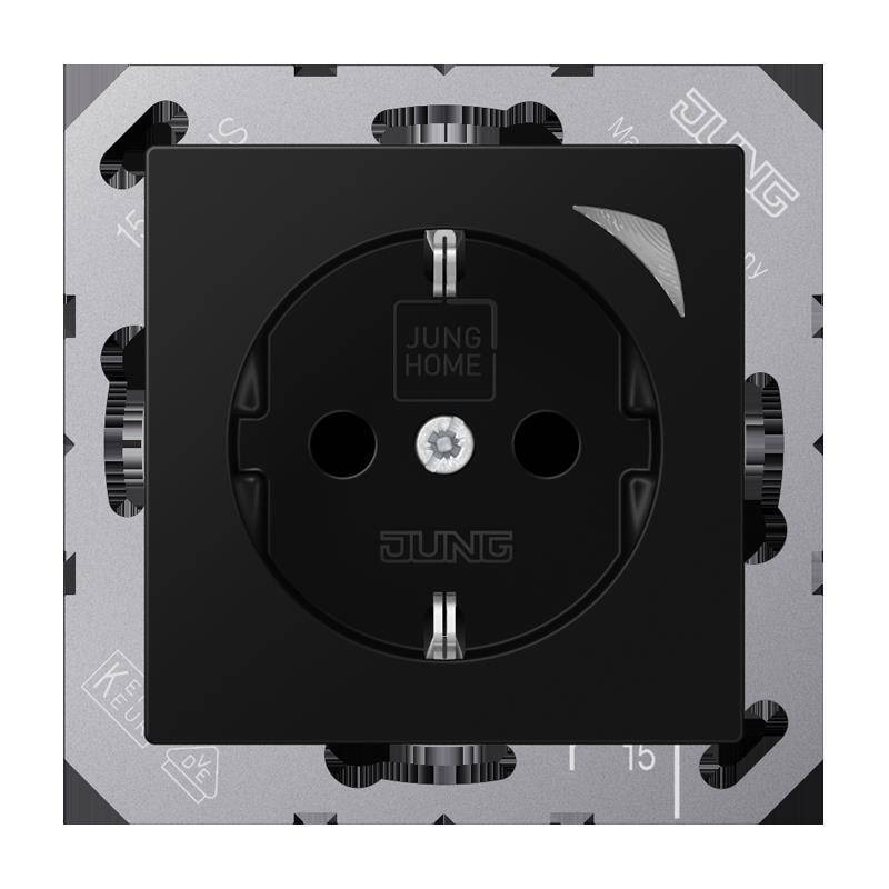 Jung SCHUKO Steckdose BT A 1521 S SWM