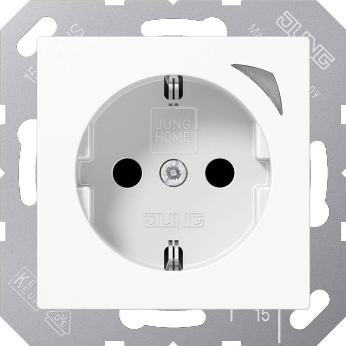 Jung SCHUKO Steckdose BT A 1521 S WW