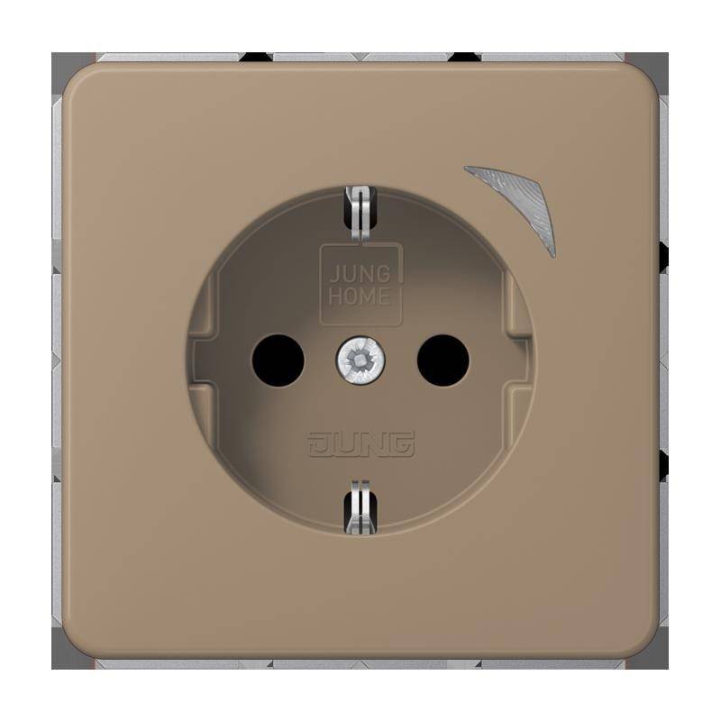 Jung SCHUKO Steckdose 16 A 250V BT CD 1521 S GB