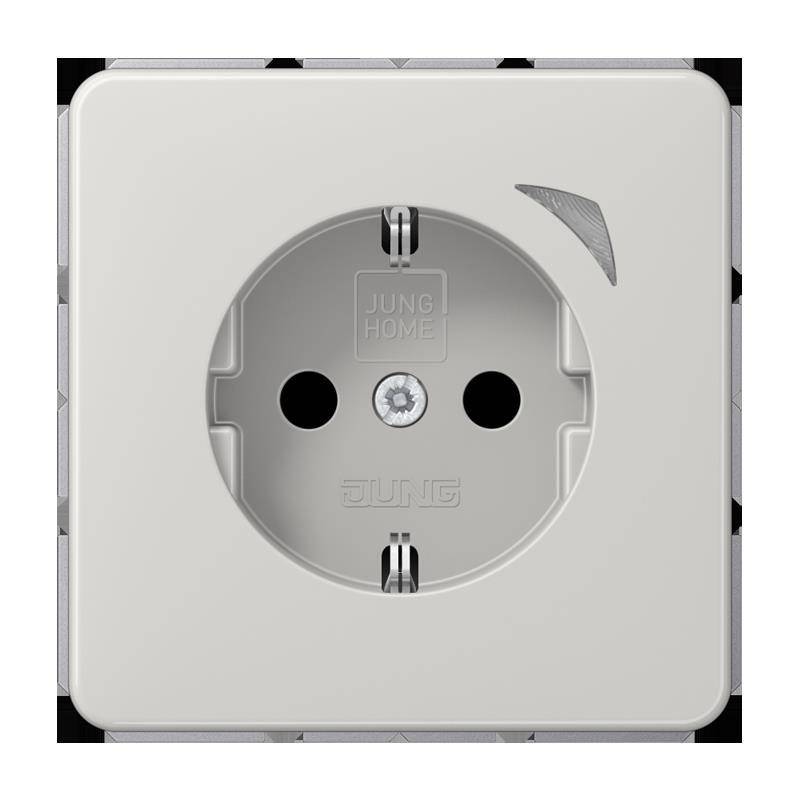 Jung SCHUKO Steckdose 16 A 250V BT CD 1521 S LG