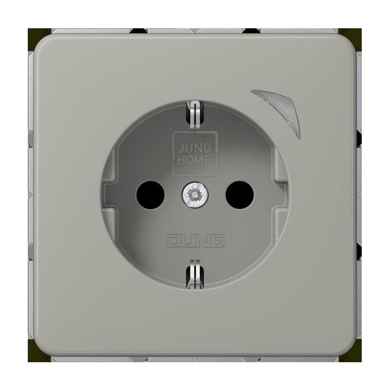 Jung SCHUKO Steckdose 16 A 250V BT CD 1521 SE PT