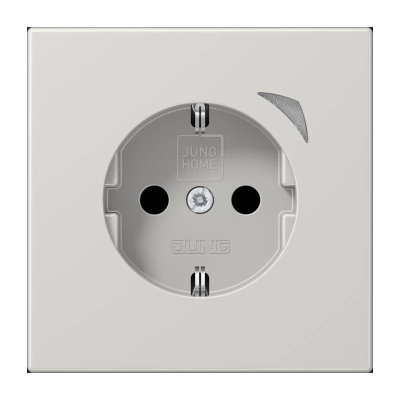 Jung SCHUKO Steckdose 16 A 250V BT LS 1521 S LG