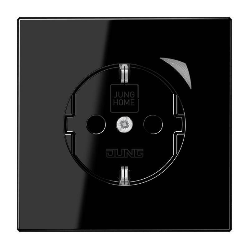Jung SCHUKO Steckdose 16 A 250V BT LS 1521 S SW
