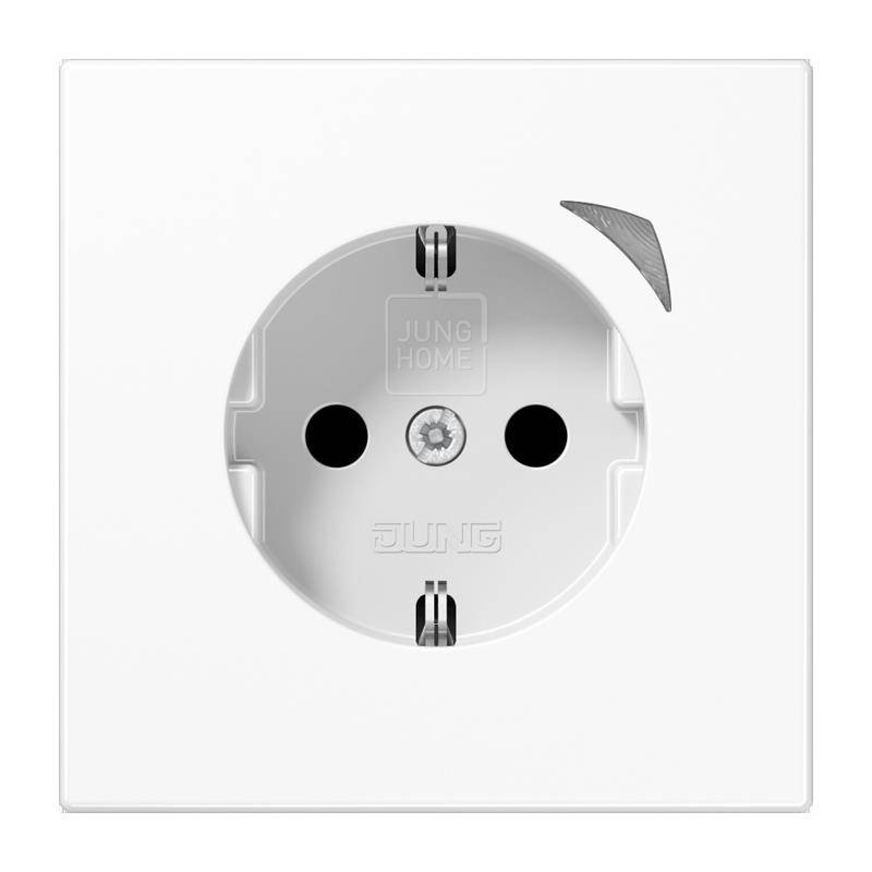 Jung SCHUKO Steckdose 16 A 250V BT LS 1521 SE WW