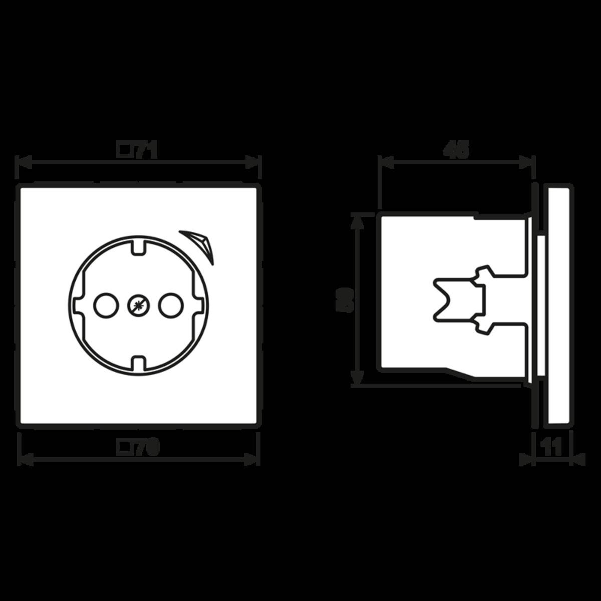 Jung SCHUKO Steckdose 16 A 250V BT LS 1521 SE WW