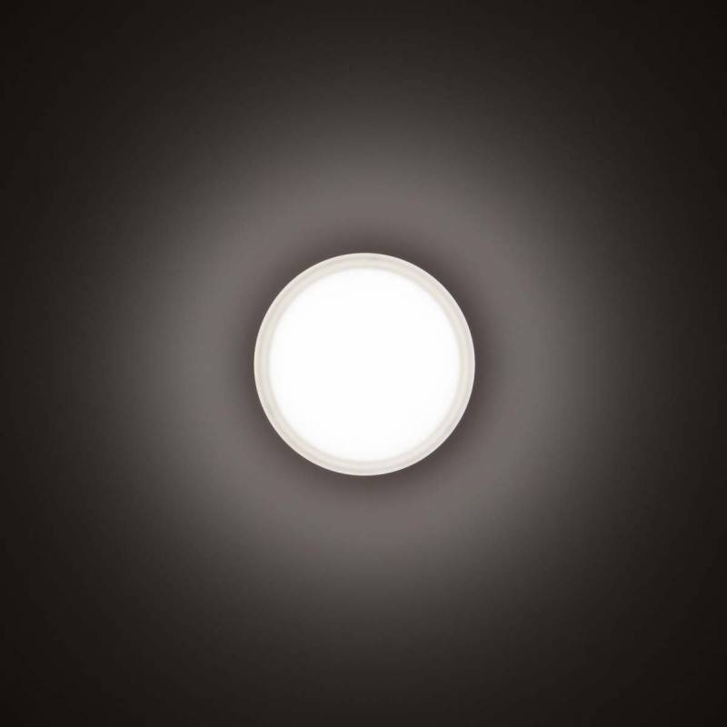 Spittler LED-Wand-/Deckenleuchte 3109455