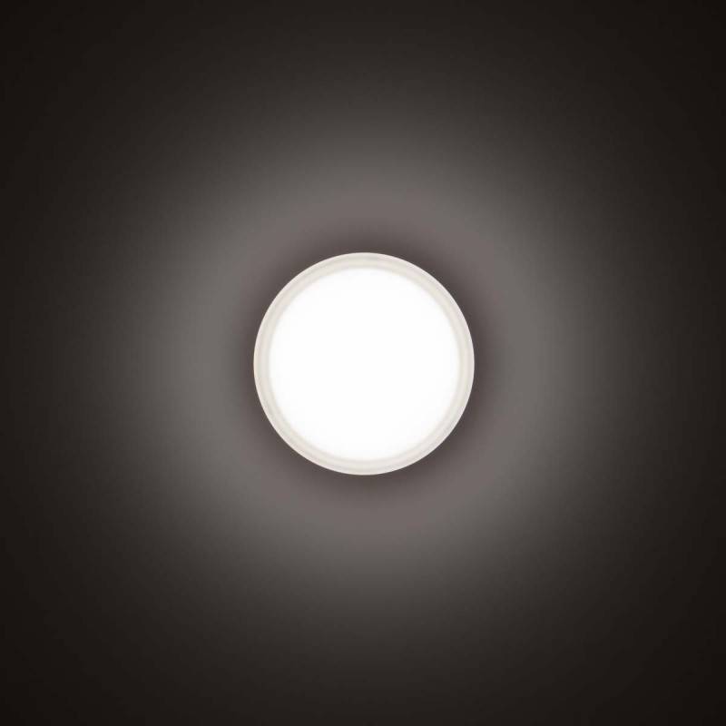 Spittler LED-Wand-/Deckenleuchte 3109456
