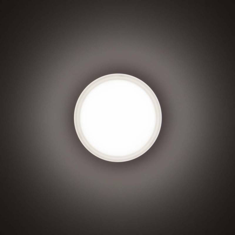 Spittler LED-Wand-/Deckenleuchte 3109457
