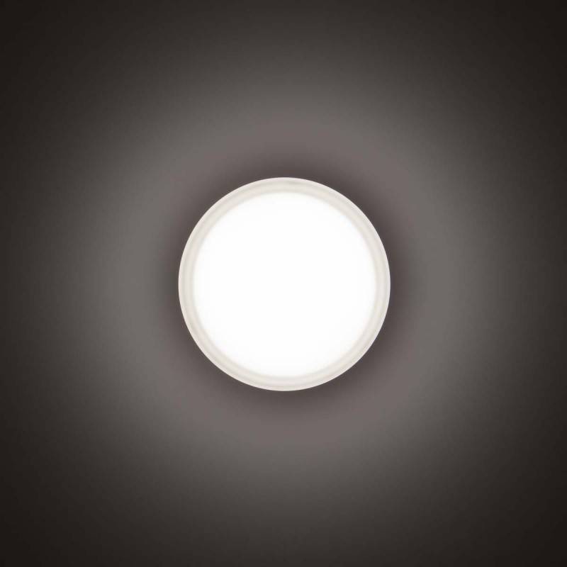 Spittler LED-Wand-/Deckenleuchte 3109458
