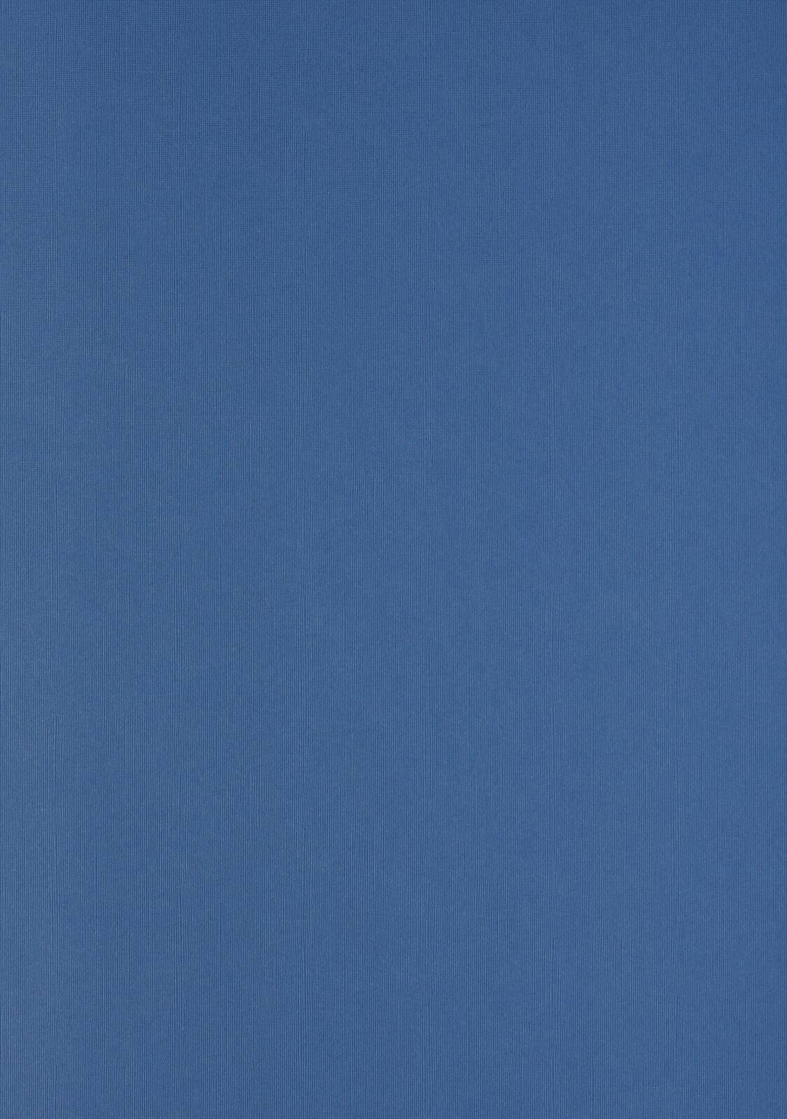 LMG Signaltechnologie 100 LMG rückwaende für Bindemappen Leinenstruktur blau