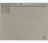 Exacompta 370210B, Karton, Grau, 320 g/m², 265 mm, 316 mm, 1 Stück(e)