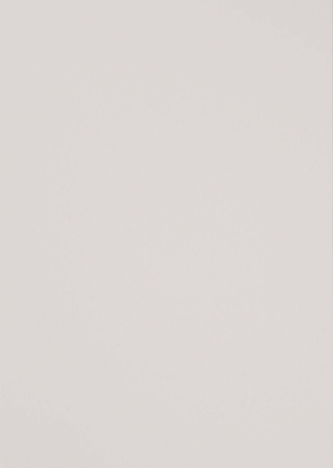 LMG Signaltechnologie 100 LMG rückwaende für Bindemappen weiß